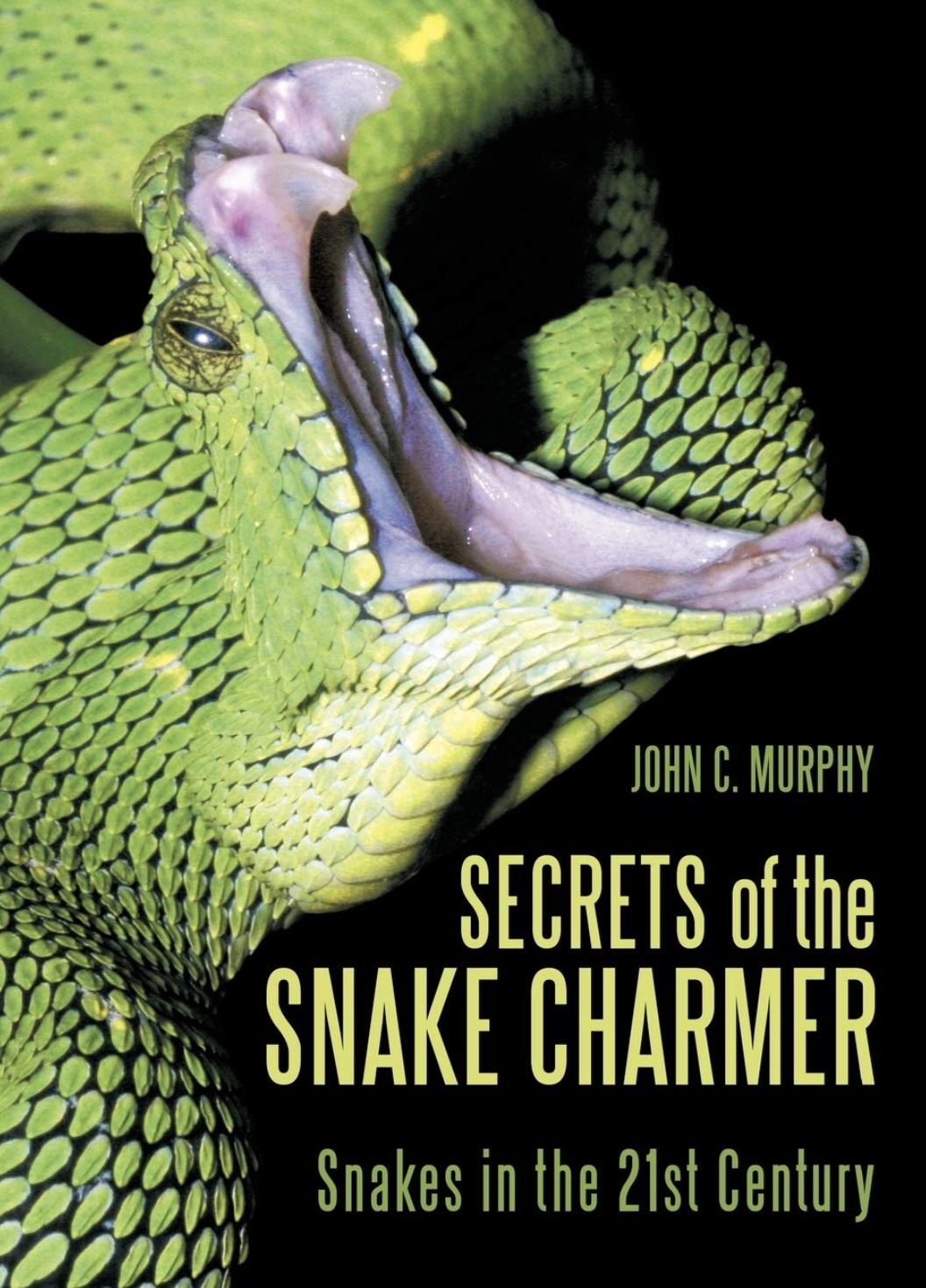 Secrets of the Snake